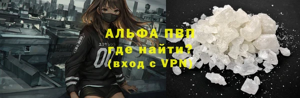 молекула духа Арсеньев