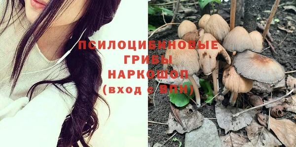 а пвп мука Алзамай