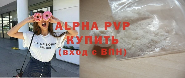 молекула духа Арсеньев