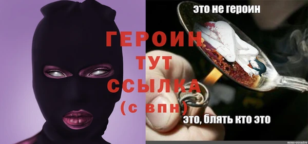 молекула духа Арсеньев