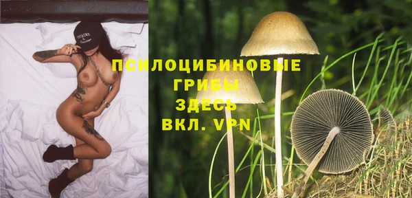 СК Аркадак