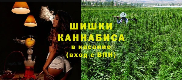 молекула духа Арсеньев